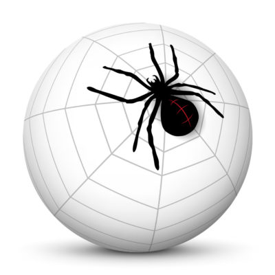White Sphere with Big Black Cross Spider and Cobweb (Spider Web) on Surface